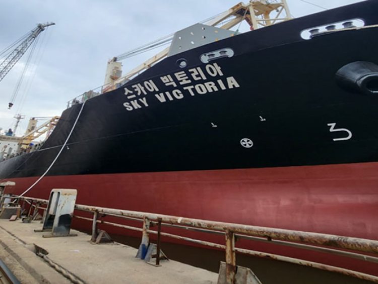 Ray Shipping Enterprise - 2-SKY-VICTORIA-2-(KSM)