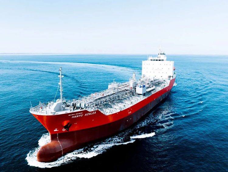 Ray Shipping Enterprise - MT.HANYU-AZALEA-1