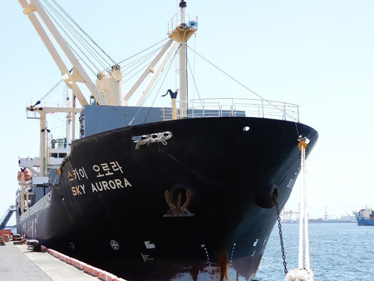 Ray Shipping Enterprise - MV.SKY AURORA