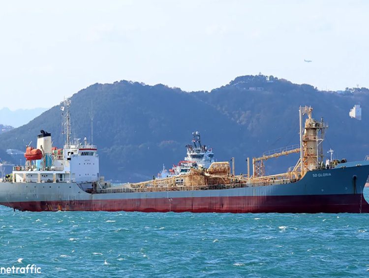 Ray Shipping Enterprise - SD-GLORIA-2