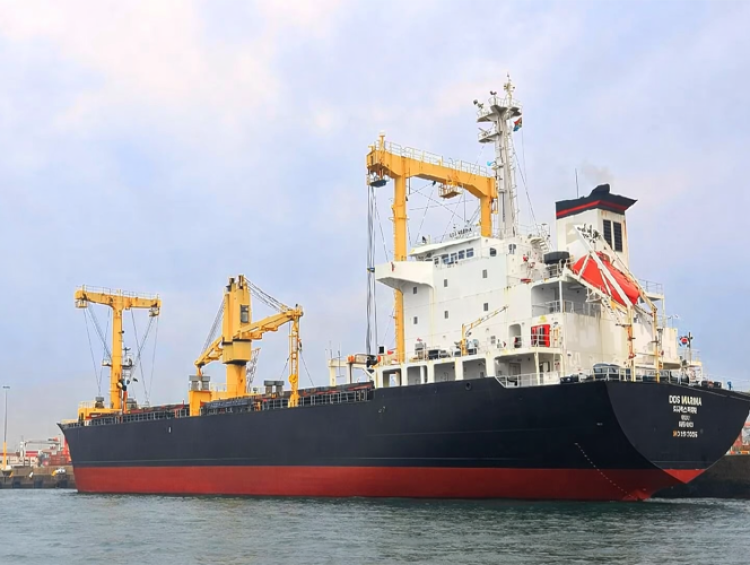 Ray Shipping Enterprise - MV.DDS MARINA